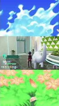 How to Evolve Litwik: Pokemon Legends ZA #evolution #chandelure #pokemon