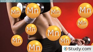 Manganese | Deficiency & Toxicity Symptoms - Video | Study.com