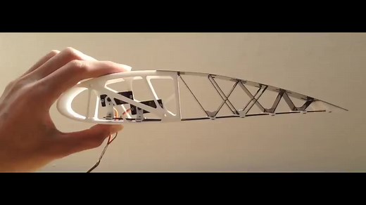 385K views · 3.6K reactions | Morphing CFRP Aerofoil: Shaping the...