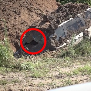 The Craziest Car Discovery Of My Life! 😱 | Tavarish