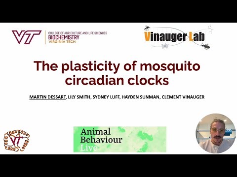 Virtual Poster 39 Martin Dessart