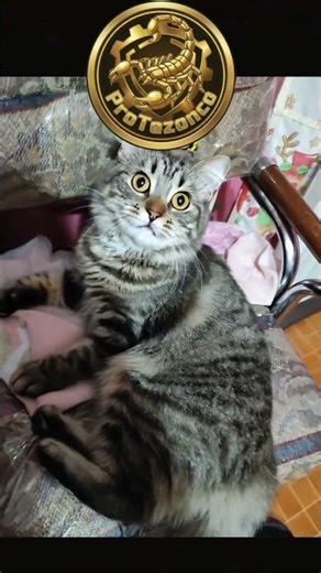 Luneta ready to play