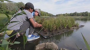 Girls in STEM | Learn how a floating wetland helps purify water