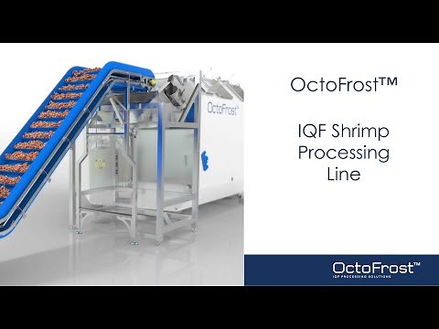 OctoFrost™ IQF Shrimp Processing Line | Cooker| Chiller | IQF Freezer | 3D Visualization