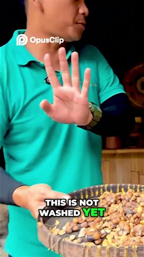 The Coffee Journey Explained - From Bean to Brew