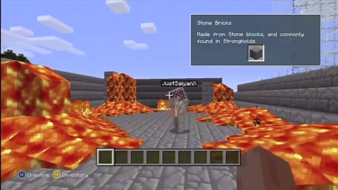 Let's play Minecraft with my little brother