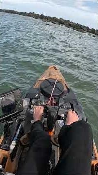 Using LIVE CRABS To Catch Fish! #Fishing #kayakfishing #outdoors