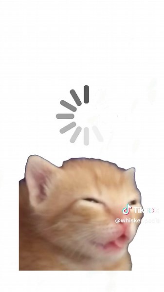 BPD Explained by Cats: Understanding Through Animation