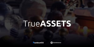 True-Assets | The Upgraded Asset Browser