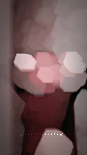 Sunny Leone Alight Motion Video Editing