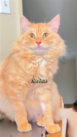 Waltuh’s face card doesn’t decline 😌✨