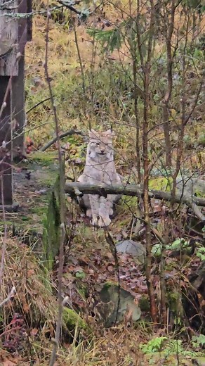 Aurore Besson on Reels