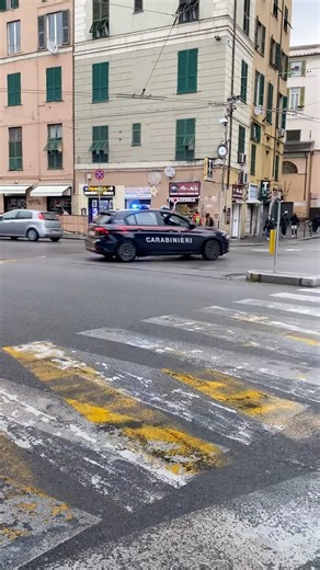 Fiat Tipo Carabinieri in sirena con paletta #foryou #neiperte #automobile #police