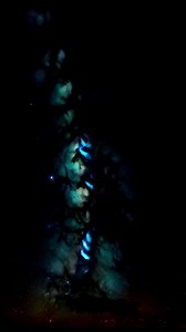 Self love #lovequotes #selflove | Love Quotes