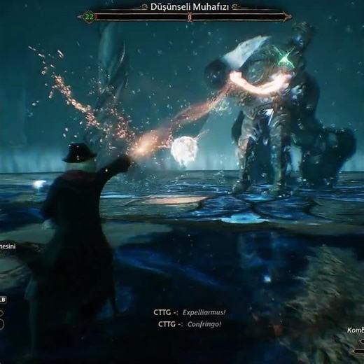 POV: Fighting Pensieve Sentries ⚔️ #hogwartslegacy