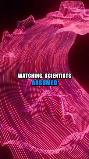Birds See Earth's Magnetic Field (Here's How) #science #nature #physics #facts