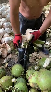 Effective work methods 2 😂 #TrendingNow #ViralVideo #AmazingVideos #USA #UnitedStates #India | Inspiring Life Moments