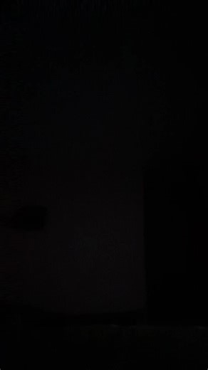 Braybug (@jenablevins992)’s videos with original sound - echoera