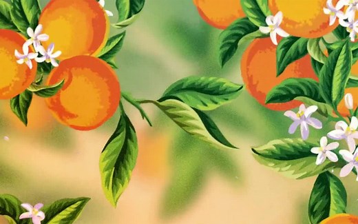 Citrus Club | Premier Social & Business Club in Orlando, FL