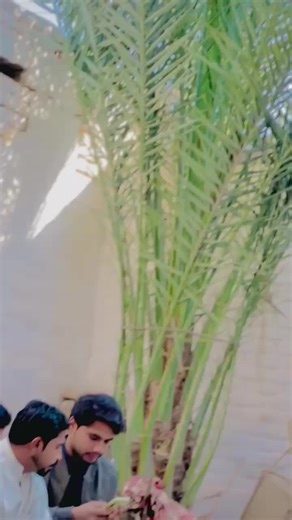 ‏awo kana ..🫥🥵 ZANGLE WALL#tiktokindia #repost #tiktoknews #kohatboy