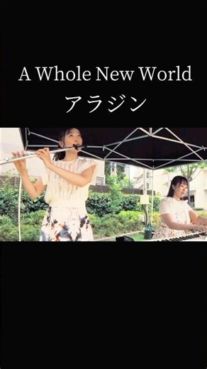 【ホールニューワールド/アラジンより】 #フルート #癒しの音楽 #ディズニー