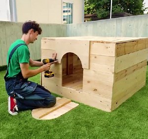 36M views · 790K reactions | Building a wooden castle for your cute fluffy friend! | 5-Minute Crafts Teens | Facebook