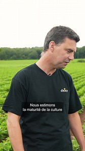 Savez-vous comment se passe la culture du haricot ? 🫛 Stéphane, agriculteur d’aucy vous raconte la vie du haricot et surtout ce qui lui plaît dans cette culture de légumes 🌞 | d'aucy