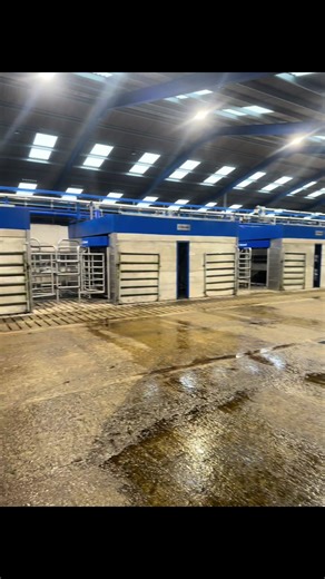 Simplifying Dairy Farming Operations with Robots