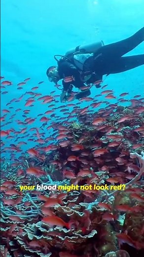 Why Blood Turns Green Underwater: The Ocean’s Light Trick Explained!