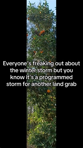 𝐂𝐇𝐎𝐒𝐄𝐍🔥 (@chosen_music8)’s videos with original sound - First Motors