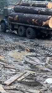 1.7M views · 13K reactions | #KAMAZ #6x6 #Logging #Offroad #Forest #Timber | Урал Лесовоз | Facebook