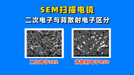 【SEM扫描电镜】二次电子与背散射电子区分 千万不要再分不清了-e测试服务平台-默认收藏夹-哔哩哔哩视频