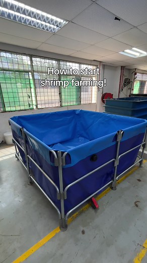 How to Start Shrimp Farming: Basics & Success Tips