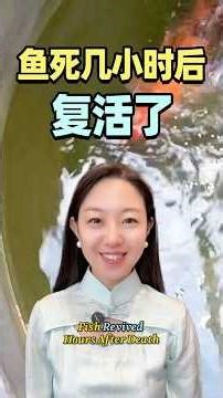 鱼死几小时后,复活了Fish Revived Hours After Death