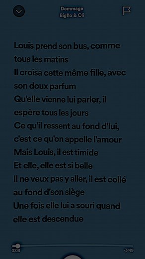Dommage - Bigflo & Oli Lyrics Explained