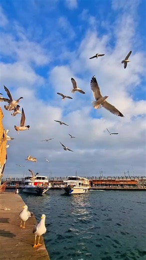 Exploring Istanbul: A Journey Through Culture and Beauty