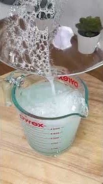 Ants Disappear From Your Home! How to Kill Ants With This Powerful Homemade Spray!