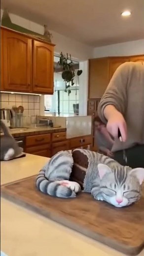 Real Cat Freaks Out as Woman Cuts a Hyper-Realistic Cat Cake 🐱🍰 | Viral Reaction! #catcake #cat