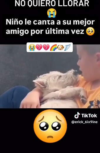 Sky Full of Stars Coldplay subtitulada - niño le canta a su perro