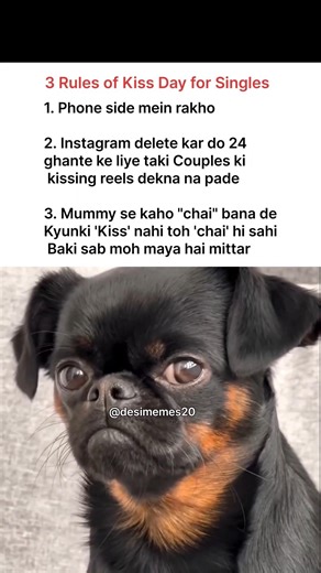 Singles #memes #popular #viral #funnymemes #tweetreels #single
