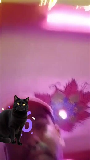 Videos de Yebin Roble (@yebin.roble) con “sonido original - Yebin Roble”