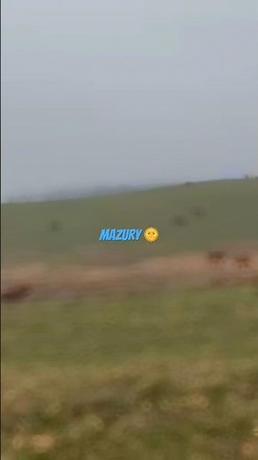 Sielskie Mazury 😍 Bociany i bydło na wolności!Tak wygląda prawdziwa Polska 🇵🇱 Mazury w 10 sekund!