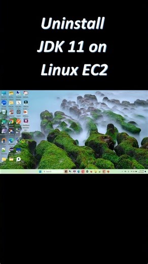 Uninstall JDK 11 on Linux EC2