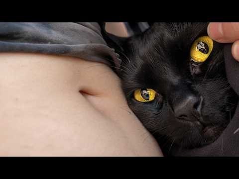 UNUSUAL MEMES COMPILATION V374