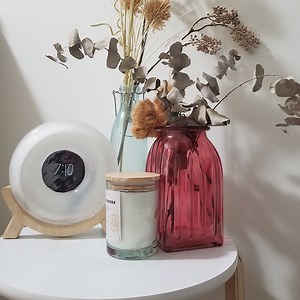 Danielle May – Illinois BFA 2022 Exhibition