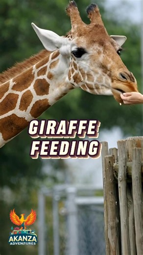 Book Your Spot for an Unforgettable Vacation Experience