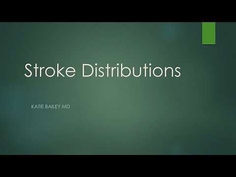 Stroke vascular distributions – Imaging Case Review
