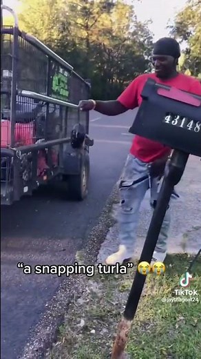 Its a Snappin Turla TikTok.