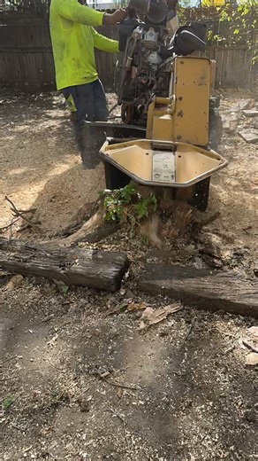 Stump in the way? We grind it down and clean it up fast, easy, gone. #TreeService #StumpGrinding #CleanYardVibes #Arborist #SaltLakeCity #Utah | Rent A Monkey Tree Service