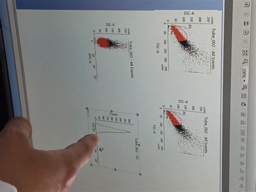 BD流式细胞仪操作视频